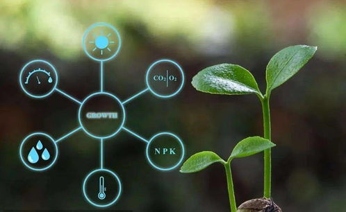 農(nóng)業(yè)農(nóng)村部數(shù)字農(nóng)業(yè)試點(diǎn)（遙感信息系統(tǒng)方向）申報(bào)條件解析